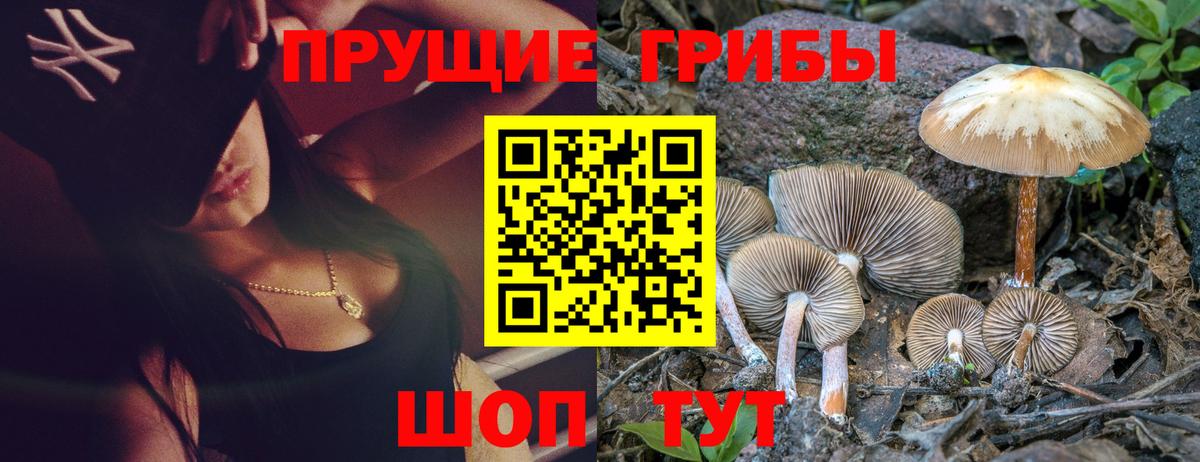 Псилоцибиновые грибы GOLDEN TEACHER  Вход с VPN  Псилоцибиновые грибы Psilocybine cubensis  Миасс 